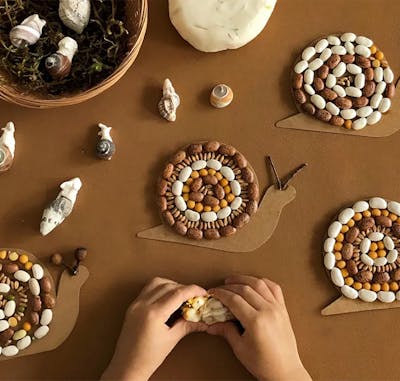 Seed Mosaics by Color with Pet