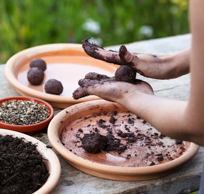 Seed Bombs, Meditate with Clay, and Natural Tie Dye by Little Fields